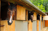 free Leathern Bottle stable construction quotes
